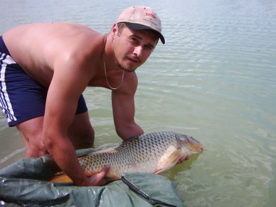 Goran Abramović